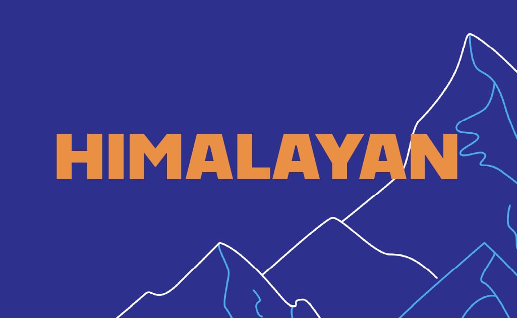 Himalayan Tax Service