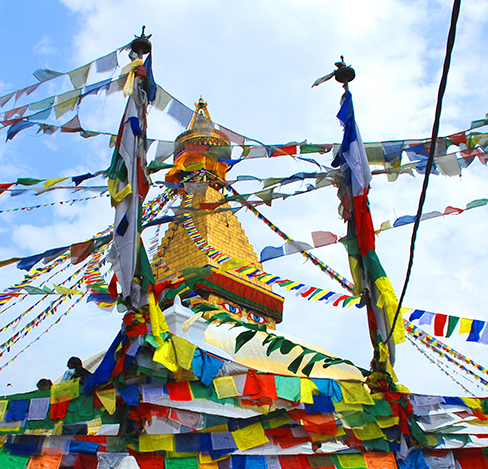 Travel House Nepal