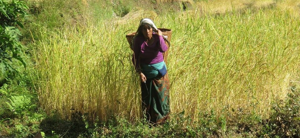 Gorkha Foundation